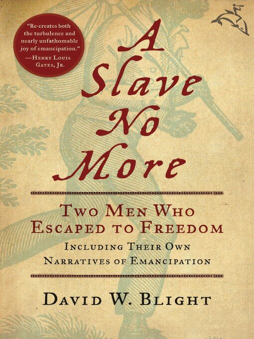 Cover image for A Slave No More